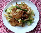源たれで！ロース肉の肉野菜炒め♪作り方1写真