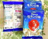 塩カンロ飴梅シロップ作り方9写真
