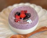 レモン風味豊かな濃厚レアチーズケーキ作り方13写真