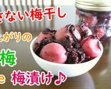 色上がりの青梅で作る梅漬け♪作り方7写真