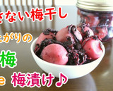色上がりの青梅で作る梅漬け♪作り方7写真