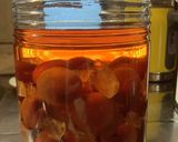 紅色の梅酒　露茜使用作り方8写真