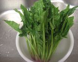ほうれん草 長持ち保存作り方1写真