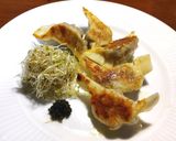 焼き餃子水餃子の付け合わせに　スプラウト作り方6写真