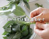 モロヘイヤ入り山形だしのところてん作り方1写真