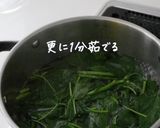モロヘイヤ入り山形だしのところてん作り方2写真