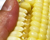 白いとうもろこしのご飯　ひげ入り(^^)作り方6写真