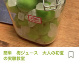 簡単　梅ジュースを作った後の梅で梅干し！作り方1写真