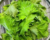 大葉ジェノベーゼ作り方1写真