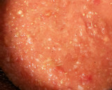 大量トマトde万能トマトソース作り方5写真