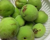 青梅(選別して見た目悪い)で梅酢ドリンク作り方1写真