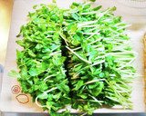 もやしと豆苗とウィンナー炒め作り方4写真