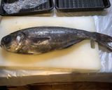 昆布締め作り方1写真
