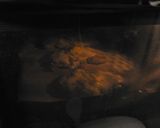 オーブンで簡単♪豚肉のホワイトソース焼き作り方6写真