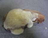 オーブンで簡単♪豚肉のホワイトソース焼き作り方5写真