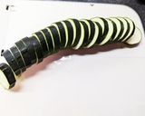 子どもも夢中♡韓国風ちぢみズッキーニ作り方1写真