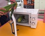 とうもろこしの冷製カルボナーラ【食遺産】作り方1写真