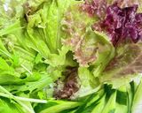 豆腐と野菜の絶品コンビ☆　チョレギサラダ作り方1写真
