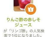 りんご酢の赤しそジュース作り方13写真