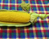 サランラップ使わないレンジでとうもろこし作り方6写真