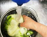 《レタスの洗い方 及び 保存方法》作り方5写真