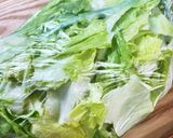 《レタスの洗い方 及び 保存方法》作り方11写真