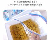 ジプロックとダイソーボックスで簡単梅漬け作り方14写真