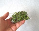 山椒の実作り方1写真