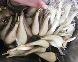 美容成分豊富！　らっきょうの塩漬け作り方2写真