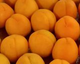 あんずで梅干し作り方1写真