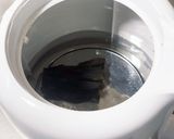 【簡単】濃厚ごま味噌タンメン作り方6写真