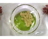 シェルマカロニツナサラダ★動画あり★作り方3写真