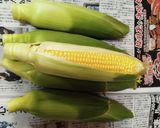 ☆冷凍野菜で簡単グラタン☆作り方1写真