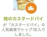 桃のカスタードパイ作り方12写真