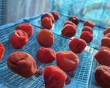 梅干し作り方11写真