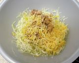 カレーツナキャベツチーズの♪三角春巻き作り方2写真