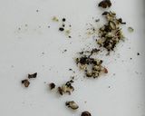鶏ひき肉のトルテッリーニ作り方9写真
