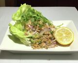 【ダイエットサラダ】鶏ムネ肉のラープガイ作り方14写真