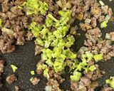 ふきのとう香る❀コロッケ風じゃが春巻き作り方5写真