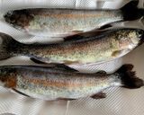 にじます料理（甘酢あんかけ）作り方1写真