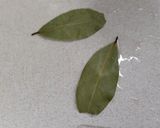 我が家の　鶏のクリーム煮作り方13写真