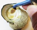 【Cに捧ぐ】漁師直伝の活サザエの食べ方。作り方3写真
