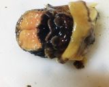 【Cに捧ぐ】漁師直伝の活サザエの食べ方。作り方10写真