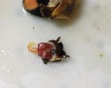 【Cに捧ぐ】漁師直伝の活サザエの食べ方。作り方11写真