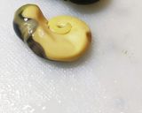 【Cに捧ぐ】漁師直伝の活サザエの食べ方。作り方14写真