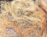 とうもろこしひげ茶作り方2写真