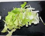 簡単普通の白菜漬け作り方4写真