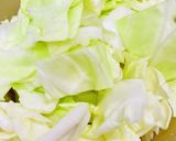 粉不使用【キャベツ✖️たこ】お好み風炒め作り方2写真