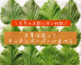 長芋のしそ巻きポン酢漬け作り方3写真
