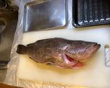 白身魚の熟成方法作り方1写真